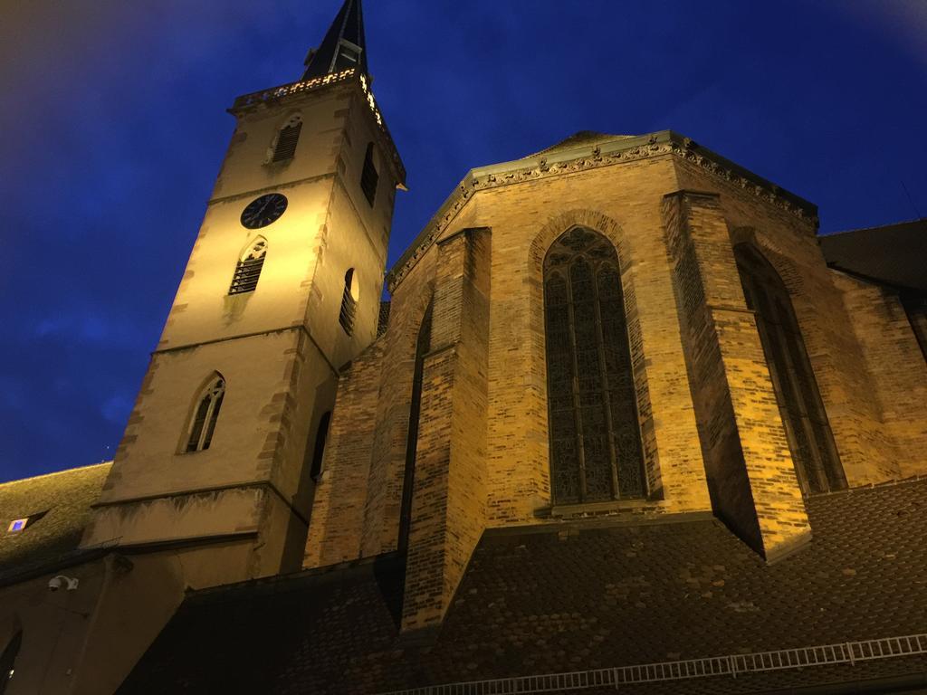 Апартаменти La Cour Des Cordonniers, Centre Cathedrale Petite France Страсбург Екстер'єр фото
